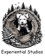 Experiential Records logo